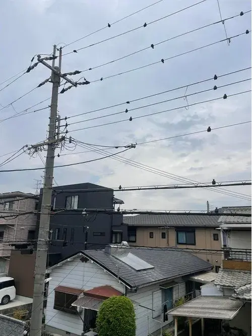 4LDK+S Bien immobilier Ville de Fujidera Préfecture d'Osaka (3)
