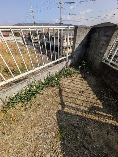 4DK Property Kashiwara City Osaka Prefecture (19)