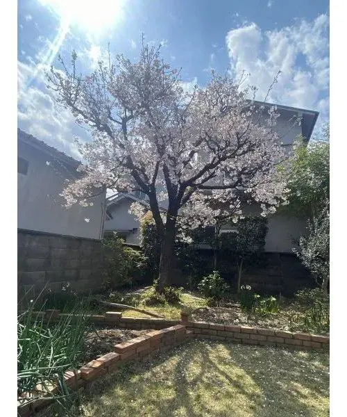 6LDK Property Takaishi City Osaka Prefecture (7)