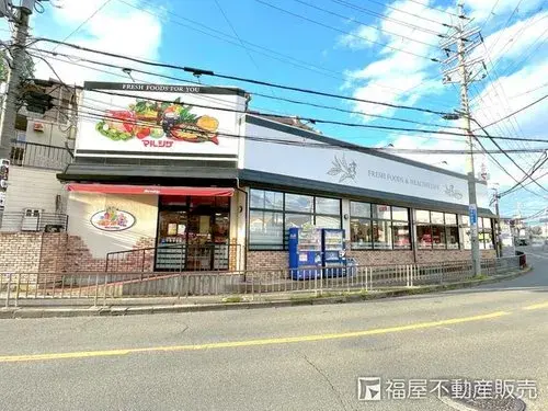 5LDK property Neyagawa City Osaka Prefecture (19)