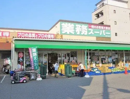 2K Osaka City Osaka Prefecture (3)