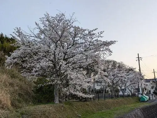 3LDK物件 三田市 兵庫県 (11)