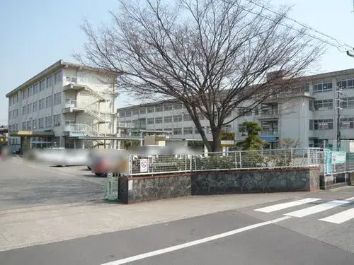 Slide 6