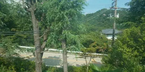 عقار 6LDK مدينة أشيا محافظة هيوغو (18)
