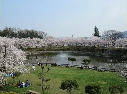 5LDK Property Fuchu City Hiroshima Prefecture (18)