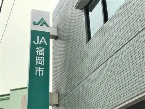 Slide 8