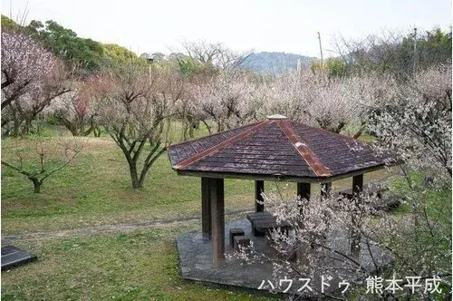 5LDK Property Kumamoto City Kumamoto Prefecture (5)