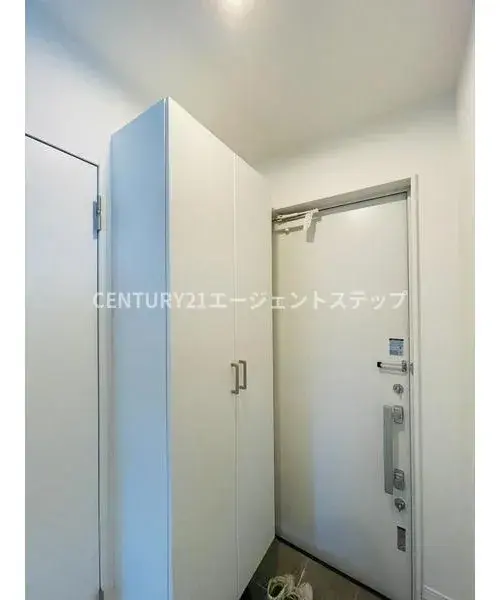 Slide 8