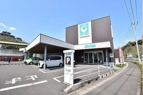 4LDK Property Kagoshima City Kagoshima Prefecture (14)