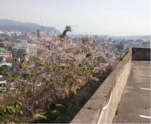 8LDK Kagoshima City Kagoshima Prefecture (5)