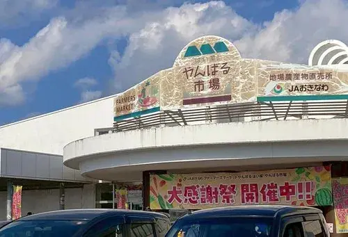 3LDK房产 名护市 冲绳县 (35)