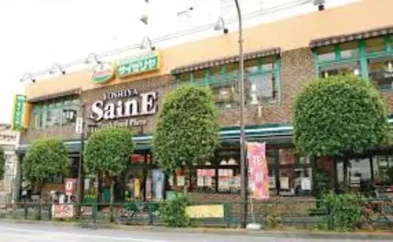 3LDK Barrio Shinjuku Tokio (18)