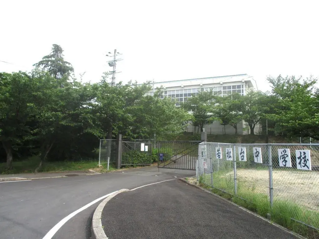 Slide 25