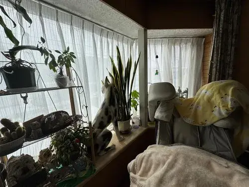 8LLDKK Property Sapporo City Hokkaido (8)