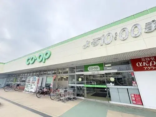 4LDK Property Fujimi City Saitama Prefecture (9)