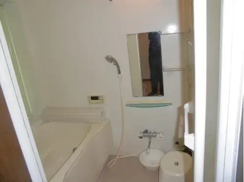 3LDK Property Kasukabe City Saitama Prefecture (9)