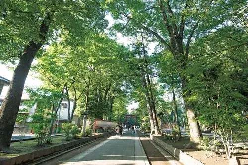 Slide 12
