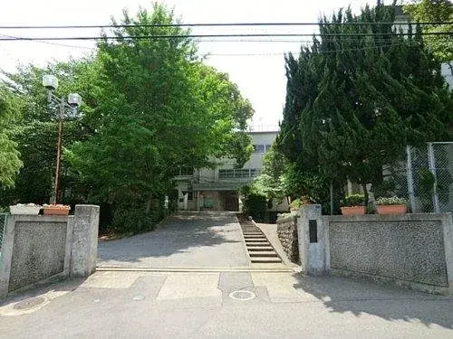 Slide 4