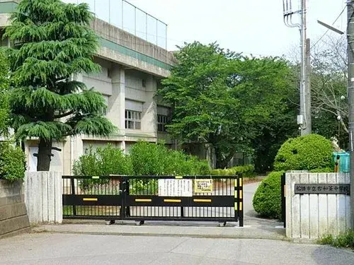 Slide 5
