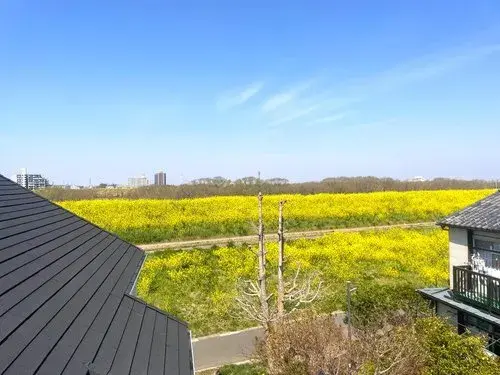 3LDK+S Property Nagareyama City Chiba Prefecture (4)