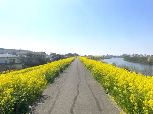3LDK+S Property Nagareyama City Chiba Prefecture (5)