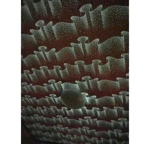 Slide 12