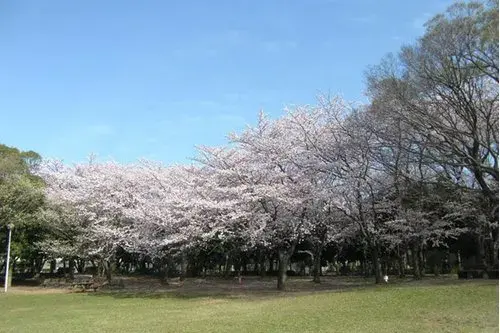 3LDK Bien immobilier Ville de Funabashi Préfecture de Chiba (20)