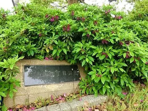 3LDK Chiba City Mihama Ward Chiba Prefecture Property (20)