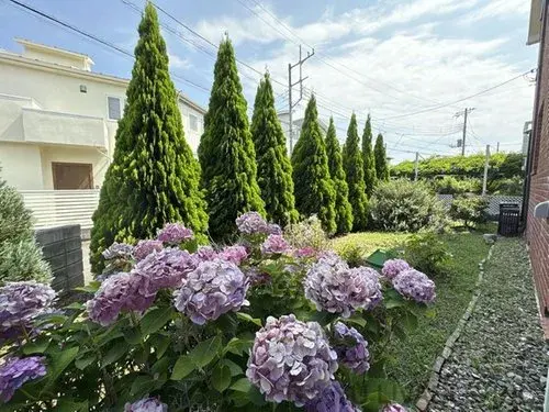 [Propriété 4LDK+S] District de Naka Ville d'Oiso Préfecture de Kanagawa (15)