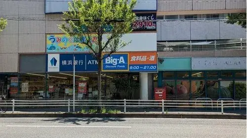 4LDK Property Yokohama City Kanagawa Prefecture (19)
