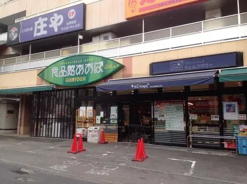 3LDK Property Minami Ward, Yokohama City, Kanagawa Prefecture (17)