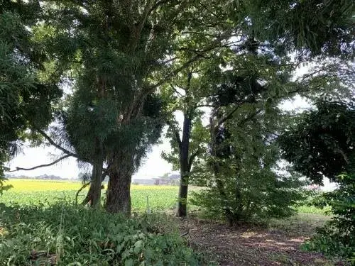 7DK物件 入善町 富山県 (19)