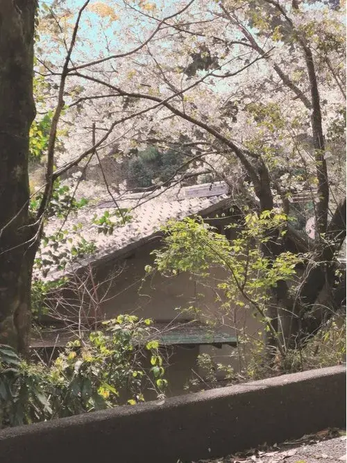 عقار 5DK+S مدينة Shizuoka محافظة Shizuoka (14)