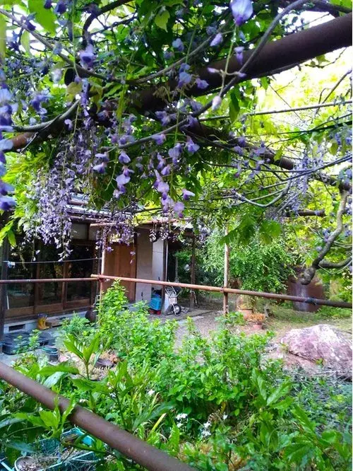 عقار 5DK+S مدينة Shizuoka محافظة Shizuoka (18)