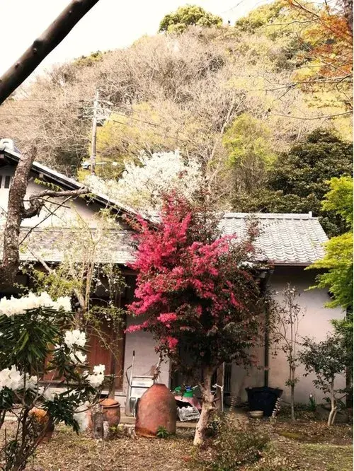 عقار 5DK+S مدينة Shizuoka محافظة Shizuoka (19)