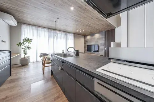 [3LDK+S Property] Nagoya City, Aichi Prefecture (10)