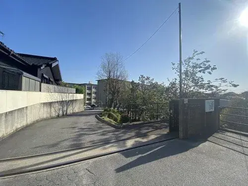 Slide 5