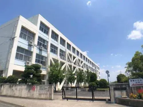 Slide 11