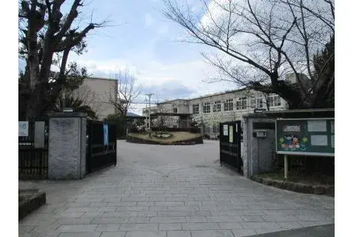 Slide 5