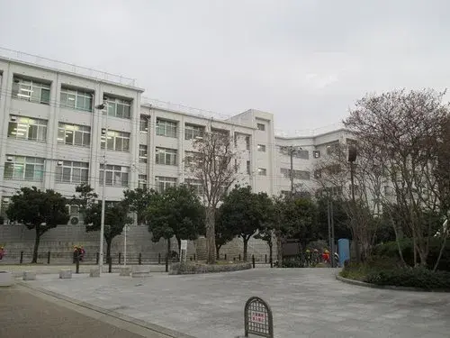 4LDK Property Osaka City Osaka Prefecture (17)