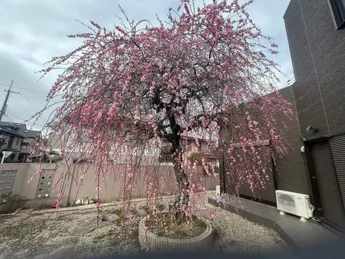 4LDK物件 枚方市 大阪府 (9)
