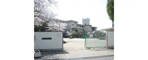 Slide 17