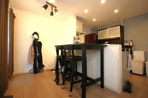 3LDK+S Property Osaka City Osaka Prefecture (7)