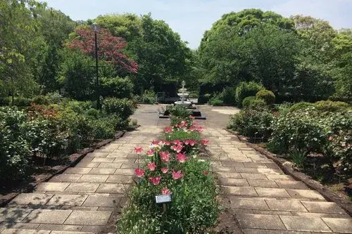 5DK Property Nishinomiya City Hyogo Prefecture (17)