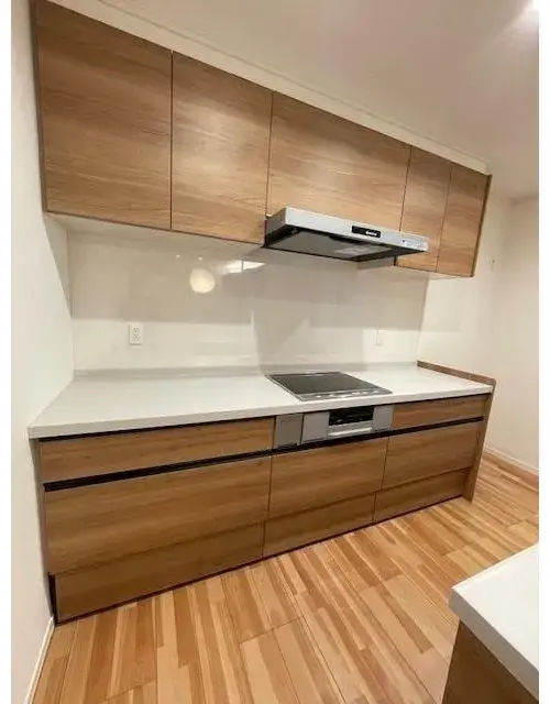 3LDK Property Hiroshima City Hiroshima Prefecture (15)