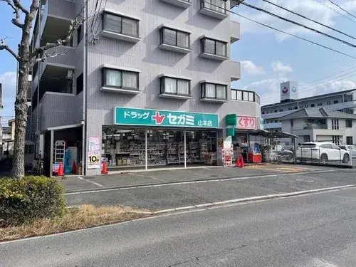 3LDK Property Hiroshima City Hiroshima Prefecture (25)
