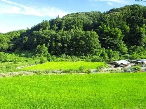 Propiedad 6DK+S en la ciudad de Shunan, Prefectura de Yamaguchi (3)