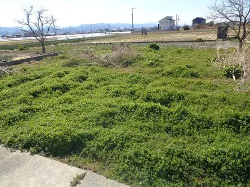 4LDK+S Property Tokushima City Tokushima Prefecture (18)