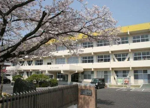 Slide 17