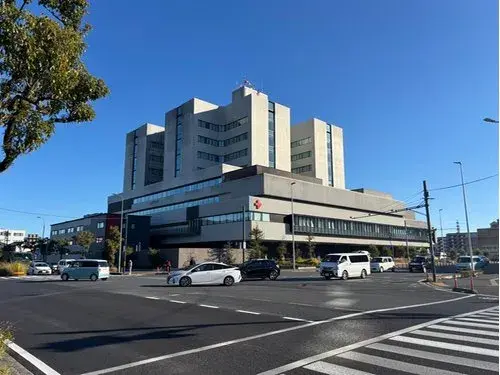 4LDK+S Property Kochi City Kochi Prefecture (26)